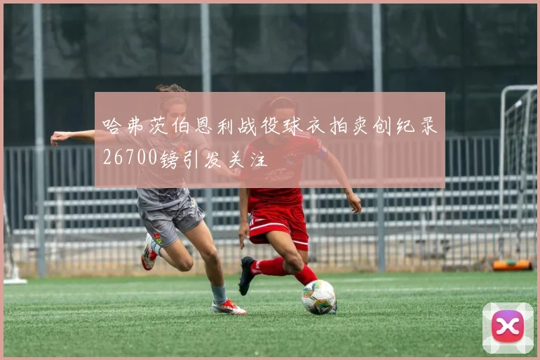 哈弗茨伯恩利战役球衣拍卖创纪录26700镑引发关注