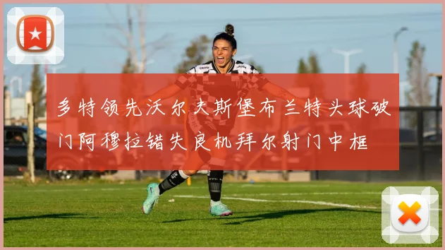 多特领先沃尔夫斯堡布兰特头球破门阿穆拉错失良机拜尔射门中框