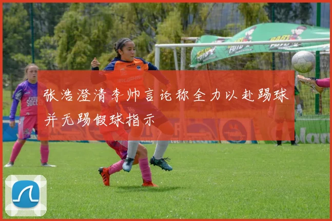 张浩澄清李帅言论称全力以赴踢球并无踢假球指示